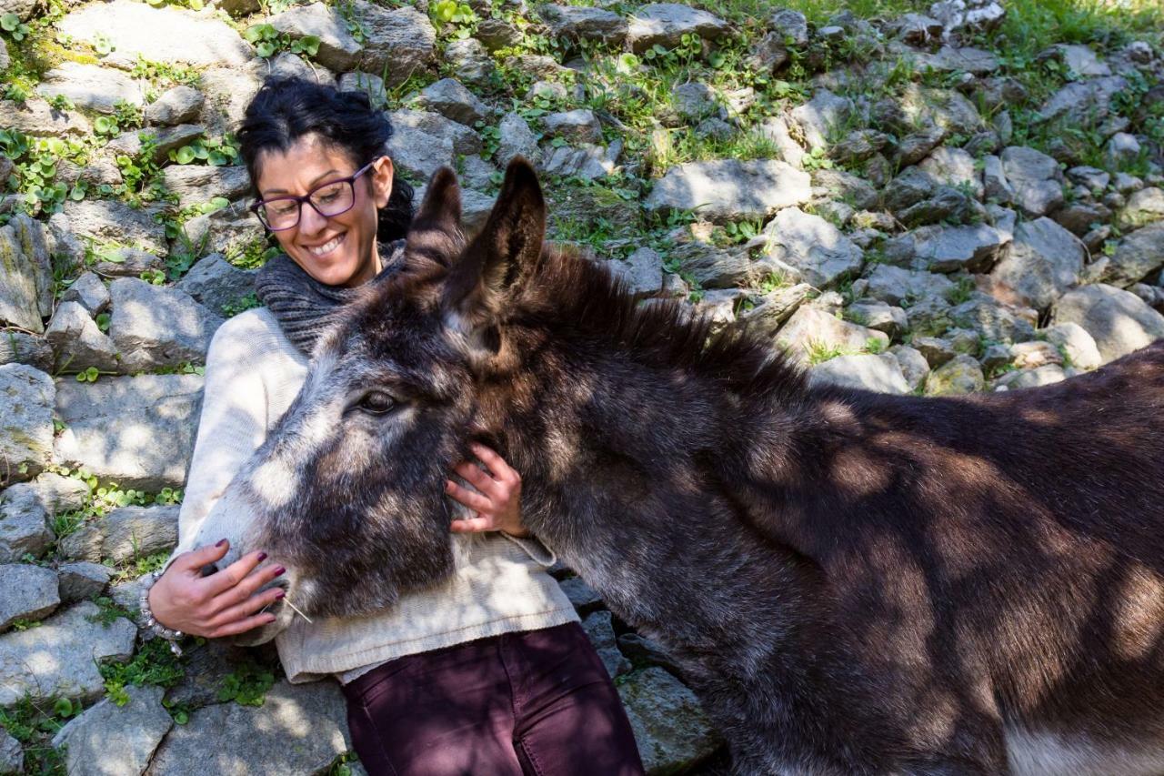 Agriturismo A Ca Vegia Calice Ligure 外观 照片