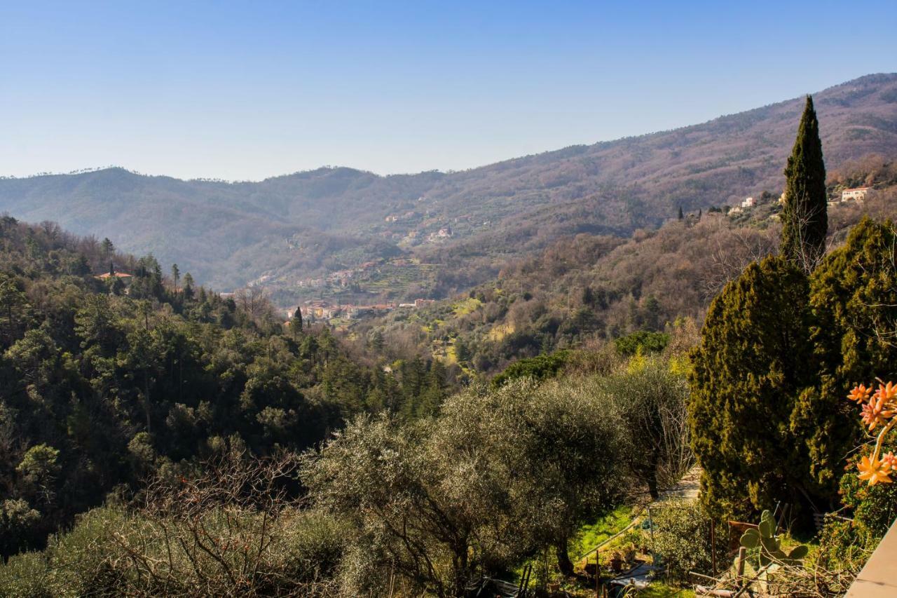 Agriturismo A Ca Vegia Calice Ligure 外观 照片